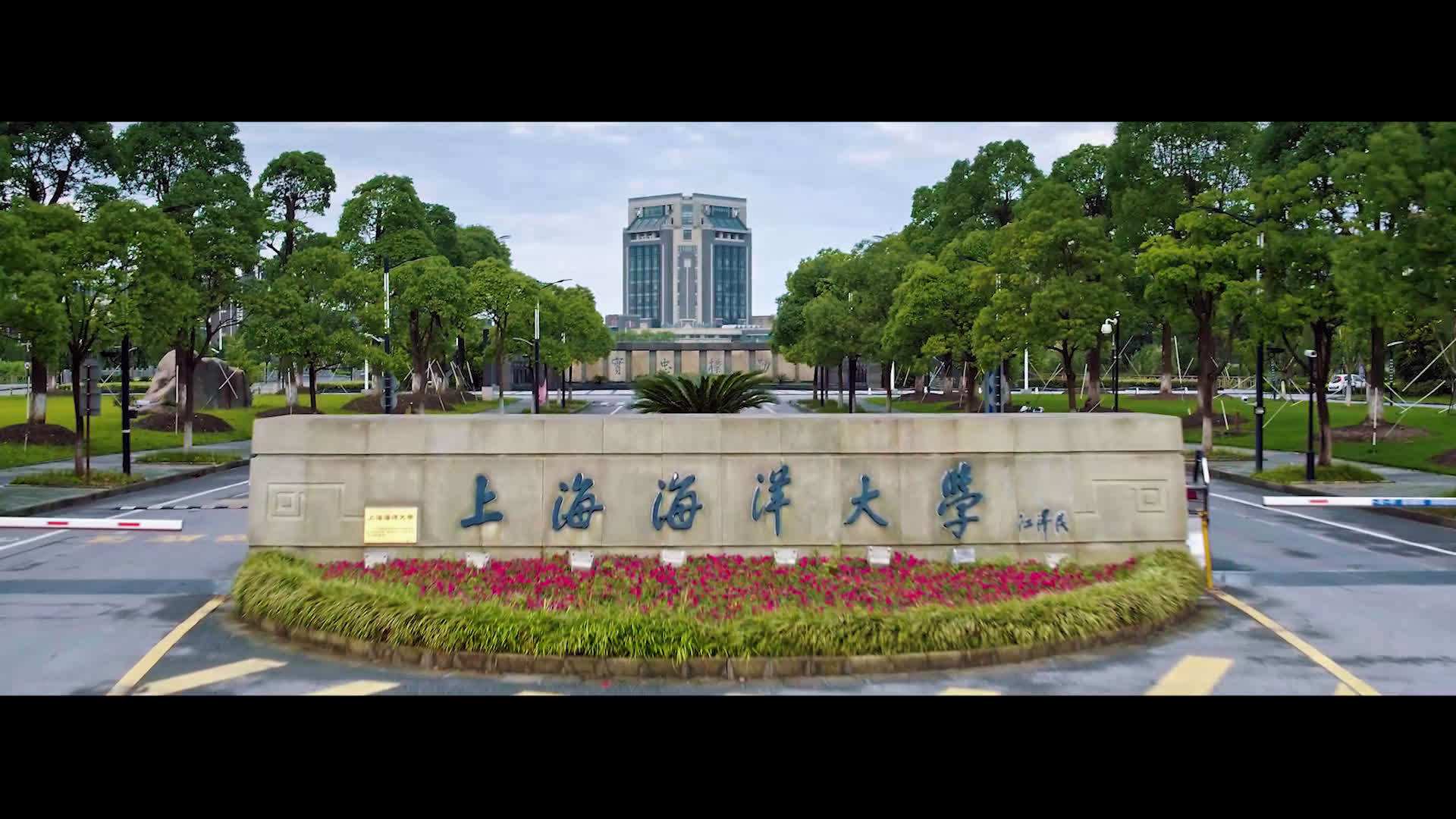 上海海洋大学校门图片图片